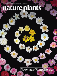 Volume 11 | Nature Plants