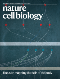 Volume 23 Issue 11 November 2021