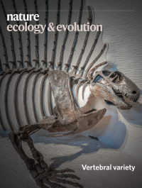 Volume 4 Issue 3