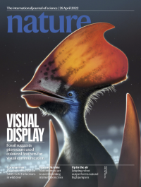 Volume 604 Issue 7907