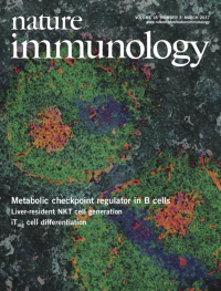 Epigenetic landscapes reveal transcription factors that regulate CD8 T cell differentiation