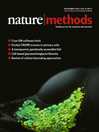 お値下げ可 The Natural Approach Amazon.com: Nonparametric Statistical Methods Using R