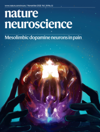 Volume 24 Issue 11 November 2021