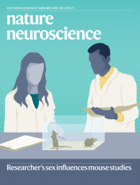 Pathological structural conversion of α-synuclein at the mitochondria induces neuronal toxicity