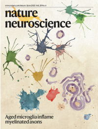 Volume 28 | Nature Neuroscience