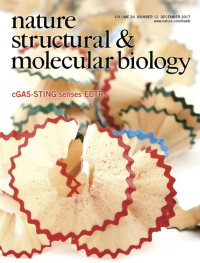 skarp Derbeville test Dwelling Volume 24 | Nature Structural & Molecular Biology