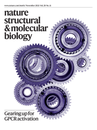 Volume 28 Issue 11 November 2021