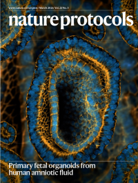 Volume 21 | Nature Protocols