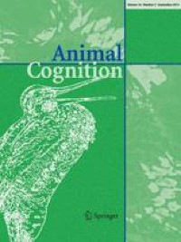 Discrimination of cat-directed speech from human-directed speech in a population of indoor companion cats (Felis catus) - Animal Cognition