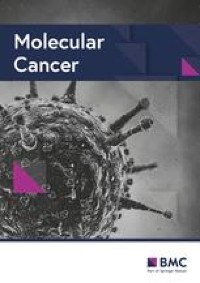 Molecular mechanism(s) of regulation(s) of c-MET/HGF signaling in head and  neck cancer | Molecular Cancer | Full Text