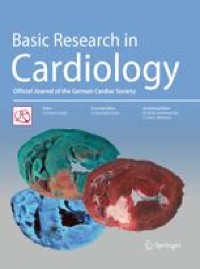 Bone marrow-derived naïve B lymphocytes improve heart function after myocardial infarction: a novel cardioprotective mechanism for empagliflozin - Basic Research in Cardiology