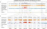 Reanalysis of a CRISPRa tiling screen from Simeonov et al.3.