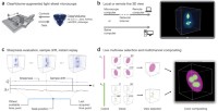 ClearVolume: an open-source real-time multichannel 3D visualization toolkit for microscopy.