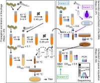 Schematic depiction of the core protocol and the steps it shares in common with its three variants.