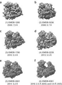 Improvements in resolution of the ribosome structure over the past decade.