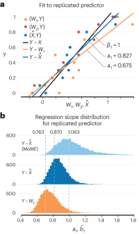 Slope attenuation bias correction using replicates of W.