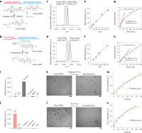 Development of nitrile chameleons for mapping specific enzyme activity.