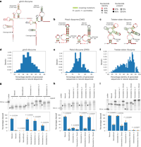 RfamGen generates functional sequences of diverse RNA families.