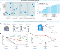 DoTA-seq enables tracking of gene-species dynamics in a complex human gut microbial community.