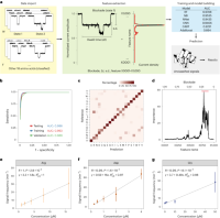 Amino acid identification assisted by a machine-learning algorithm.