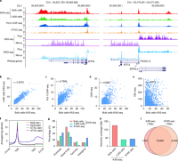 Comparison between KAS-seq and other transcriptional activity–profiling methods.