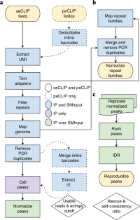 Overview of the eCLIP bioinformatics workflow.