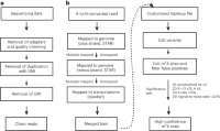 Schematic representation of GLORI-tools enabling quantification of m6A sites at single-base resolution.