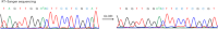 Evaluation of conversion rate by Sanger sequencing.