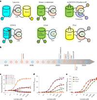 Genetically encoded lactate sensors.