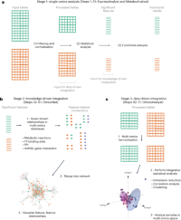 Overview of multi-omics analysis pipelines.