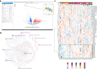 Results from the single-omics analysis.