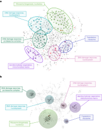 Knowledge-driven multi-omics network created through signal distillation with OmicsNet.