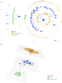 Knowledge-driven multi-omics network created through signal enrichment with OmicsNet.