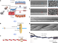 Fabrication schematic and structure of a TLIB.