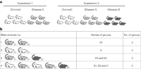 Example configurations of experimental classes for meta-analysis of edges.