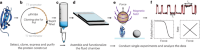 Schematics of the workflow to study the nanomechanics of an individual protein by using single-molecule magnetic tweezers.