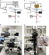 Overview of magnetic tweezers force spectroscopy.