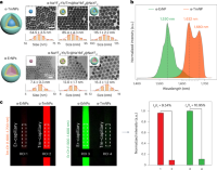 NIR-II fluorescent DSNPs preparation.