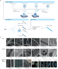 Electrospinning of diverse materials and morphology.