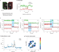 Data analysis for TIRF-based smFRET.