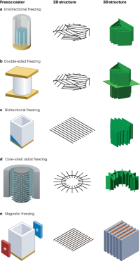 An overview of freeze caster, mould designs, resulting domain shape and lamellar orientation in two and three dimensions.