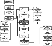 An overview of the manufacturing of human induced pluripotent stem cells under cGMPs.