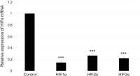 The knockdown efficiency of HIFs in human iPS cells 7 days after knockdown (date from duplicate samples.