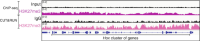 Integrated Genome Viewer (IGV) tracks of H3K27me3.