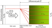 Functional principle of a passive sampler, showing chemical activity profiles during diffusion and accumulation from water (or other sampled medium; left-hand side) to the sorbent (receiving phase) in time t along the diffusional path δ.