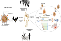 Spread and infectiousness of SARS-CoV-2.