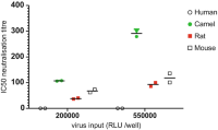 MERSpp neutralization assay for naïve serum samples from different species.