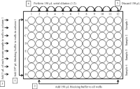 Plate layout for serum sample serial dilution