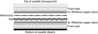 Side-view diagram of transfer component stack within transfer cassette.