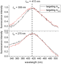 Normalized fluorescence emission profiles (background subtracted) of the 1,N 6-ethenoadenines at positions A35 (black) and A213 (red) of Solution VI upon excitation at either 275 nm or 308 nm.